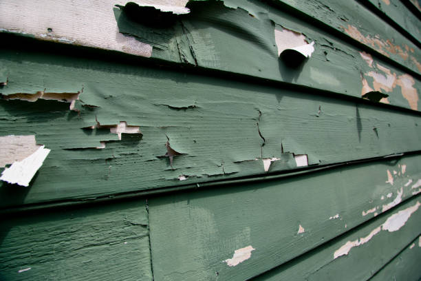 Best Hoarding Cleanup  in Osage Beach, MO