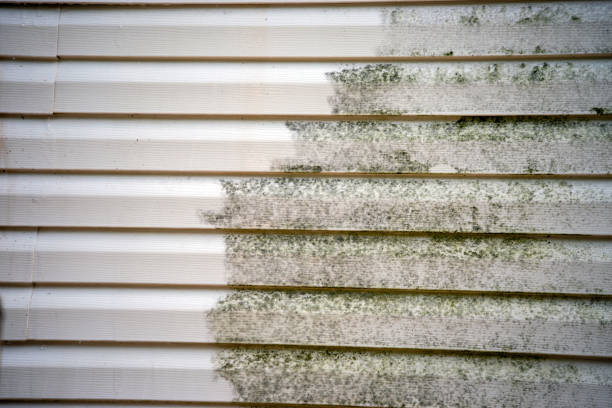 Best Basement Cleanout  in Osage Beach, MO