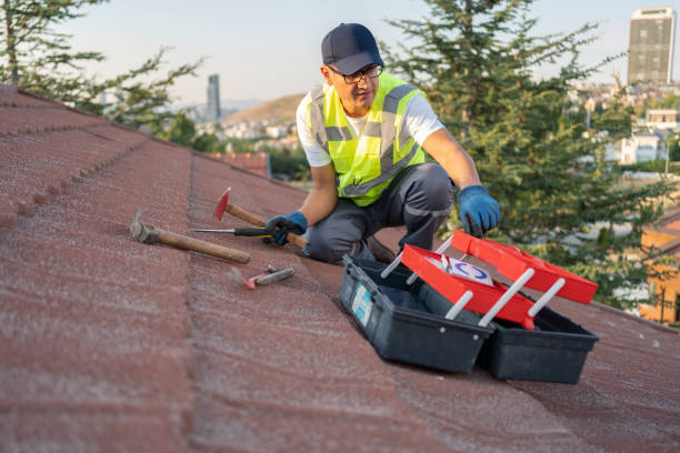 Best Yard Waste Removal  in Osage Beach, MO